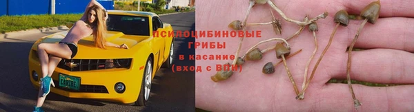 а пвп мука Абдулино