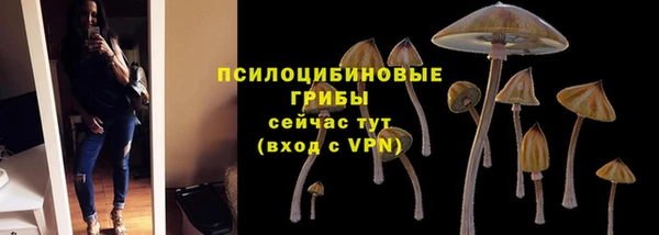 скорость Алзамай