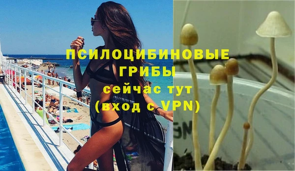 трава Абинск