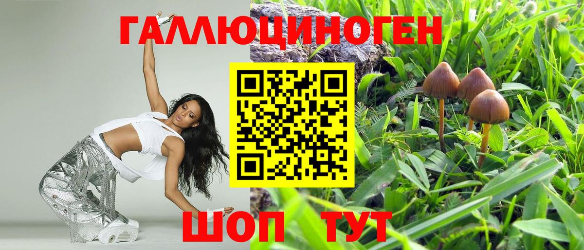 Галлюциногенные грибы Cubensis Ишимбай