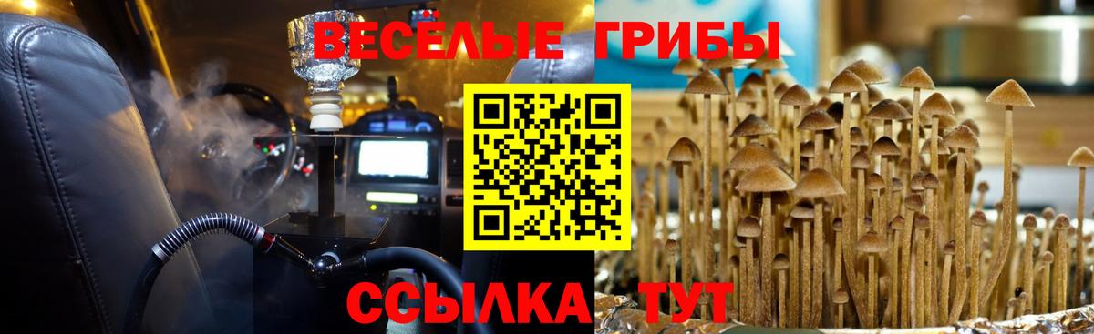 Псилоцибиновые грибы мицелий  Вход с VPN  Ишимбай  Псилоцибиновые грибы Psilocybe 